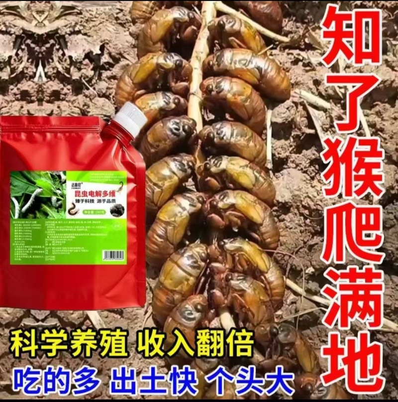 一件代发，金蝉知了猴，大量现货，对接各大电商平台日发3万