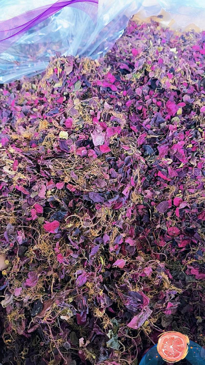 风柜斗草