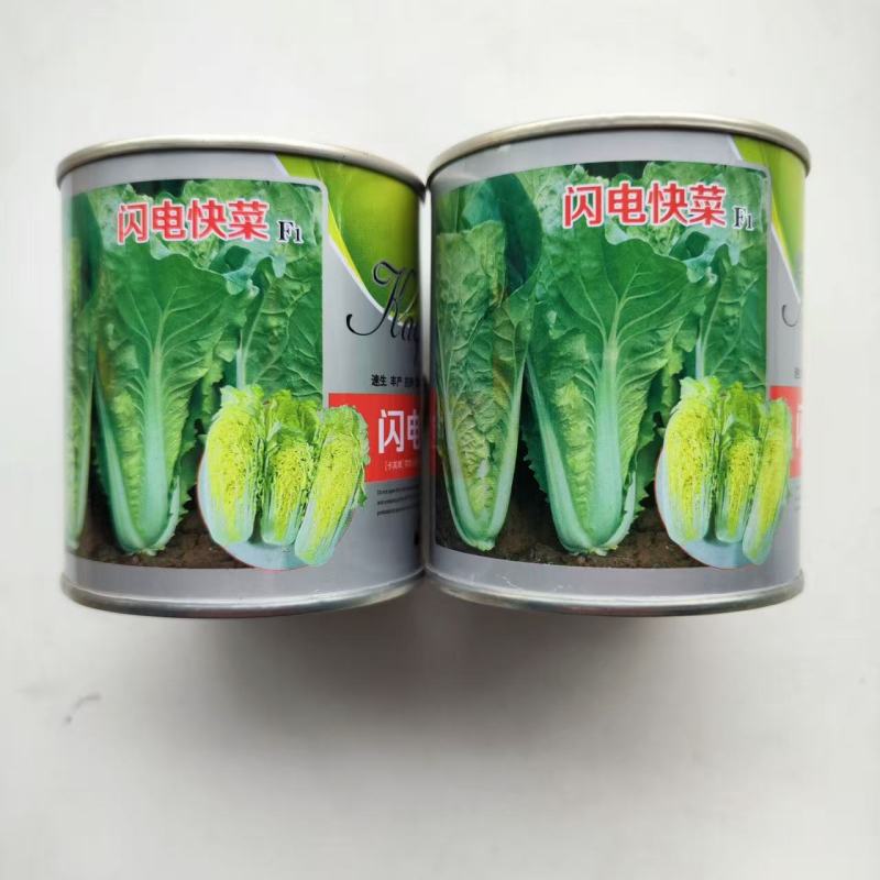 闪电快菜种子小白菜籽速生高产耐热耐湿春夏秋冬季四季青蔬菜
