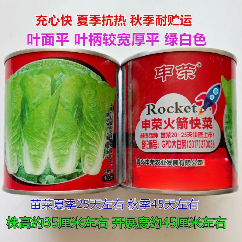 申荣火箭快菜种子早熟杂交小白菜速生抗热耐湿蔬菜种子春夏秋