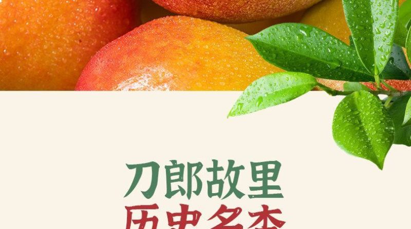 【空运包邮】新疆阿瓦提芒果杏胡安娜杏个大多汁应季新鲜水果