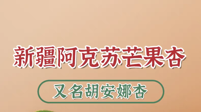 【空运包邮】新疆阿瓦提芒果杏胡安娜杏个大多汁应季新鲜水果