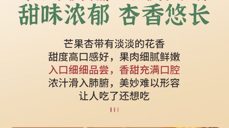 【空运包邮】新疆阿瓦提芒果杏胡安娜杏个大多汁应季新鲜水果