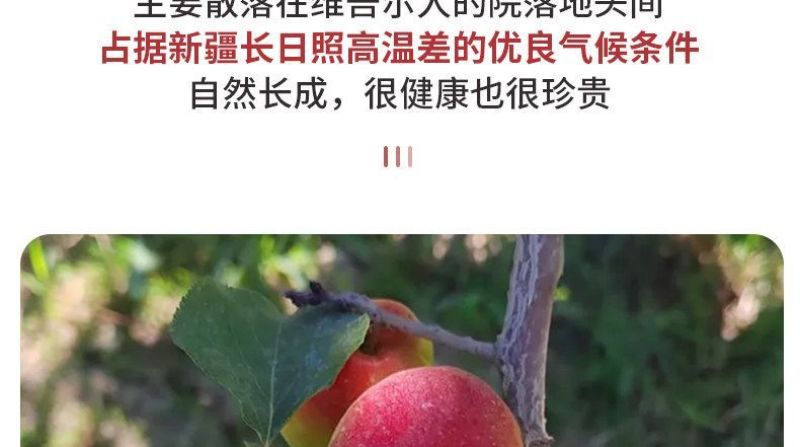 【空运包邮】新疆阿瓦提芒果杏胡安娜杏个大多汁应季新鲜水果
