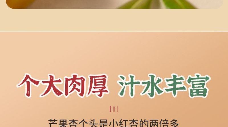 【空运包邮】新疆阿瓦提芒果杏胡安娜杏个大多汁应季新鲜水果