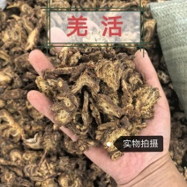 羌活蚕羌正品自然生长无硫精选中药材品质保证