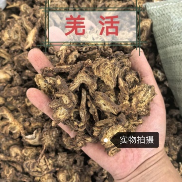羌活蚕羌正品自然生长无硫精选中药材品质保证