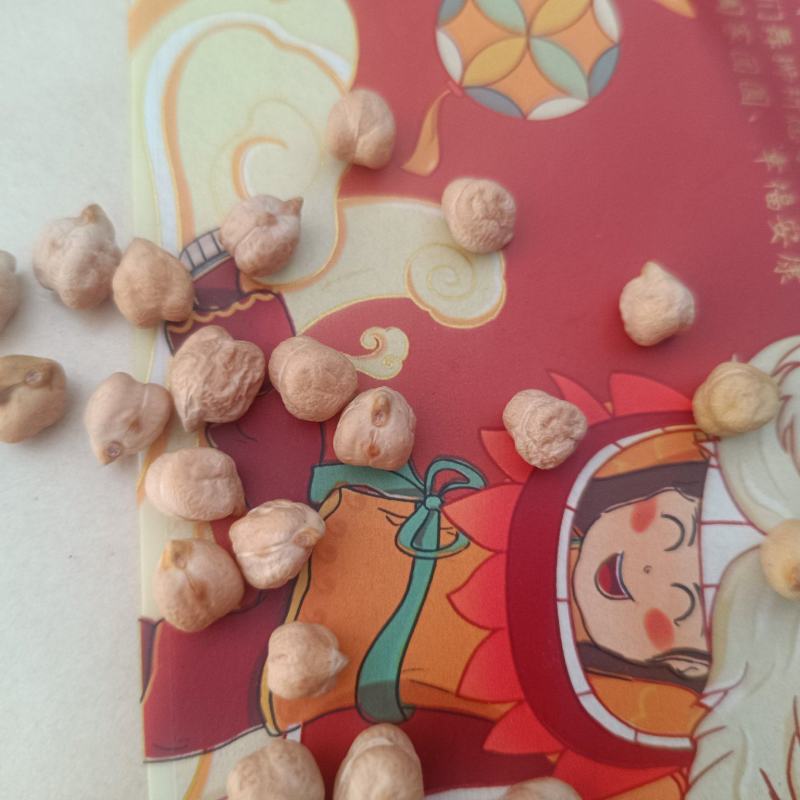 鹰嘴豆