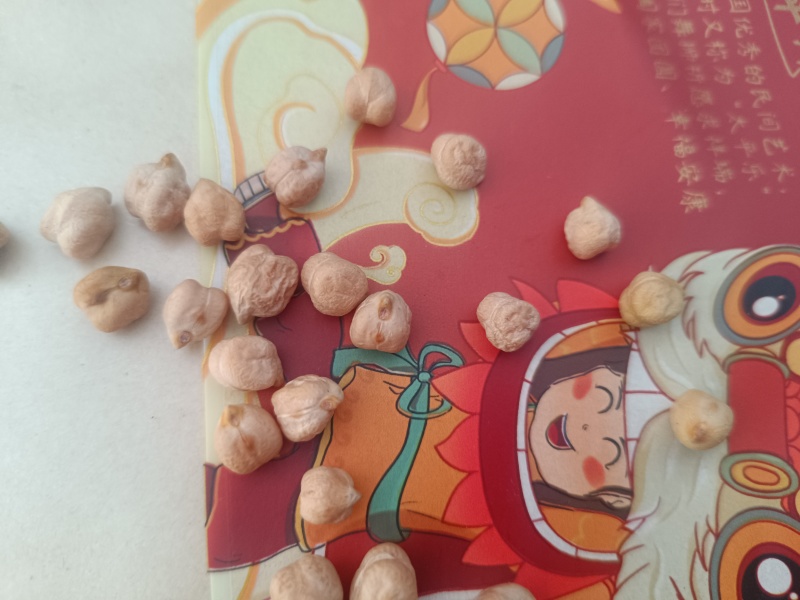 鹰嘴豆