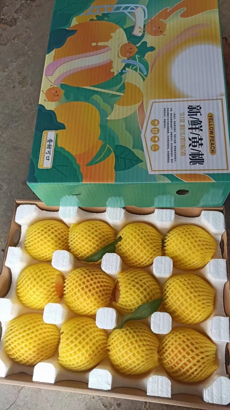 枣阳黄桃一件代发