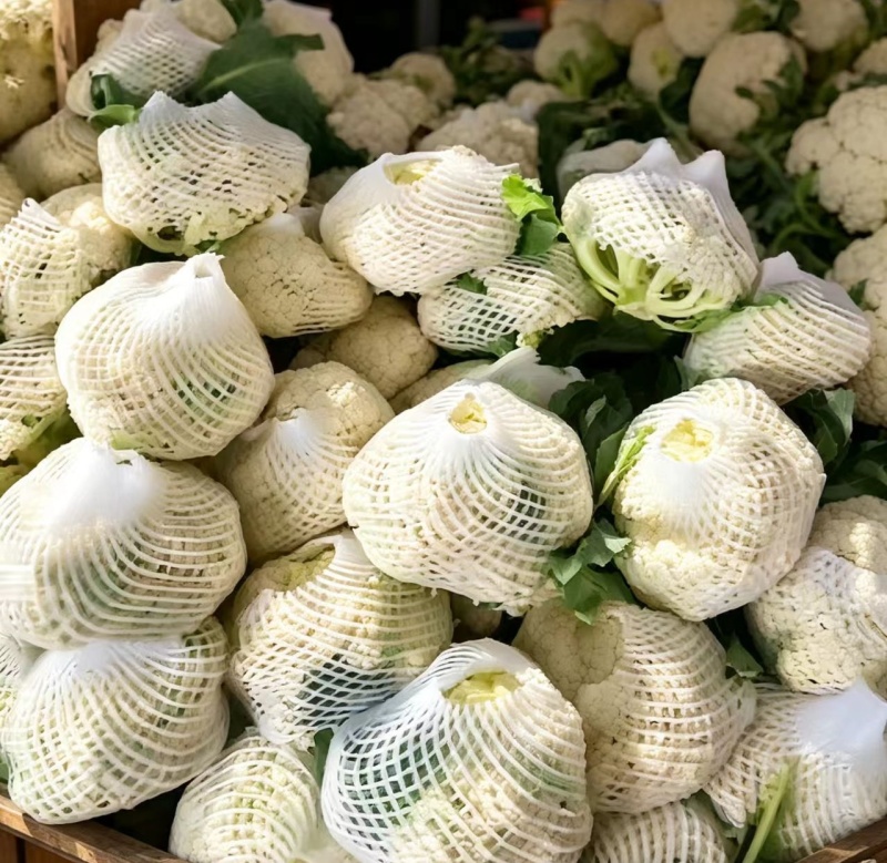有机花菜花卖新鲜菜花，现摘现装