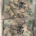 粽子