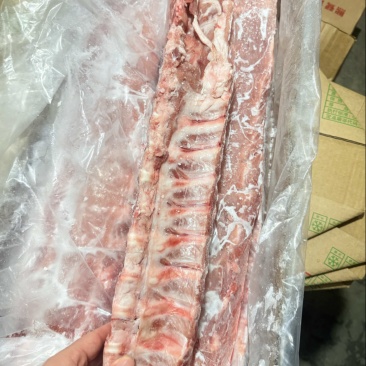 肥猪单边龙骨