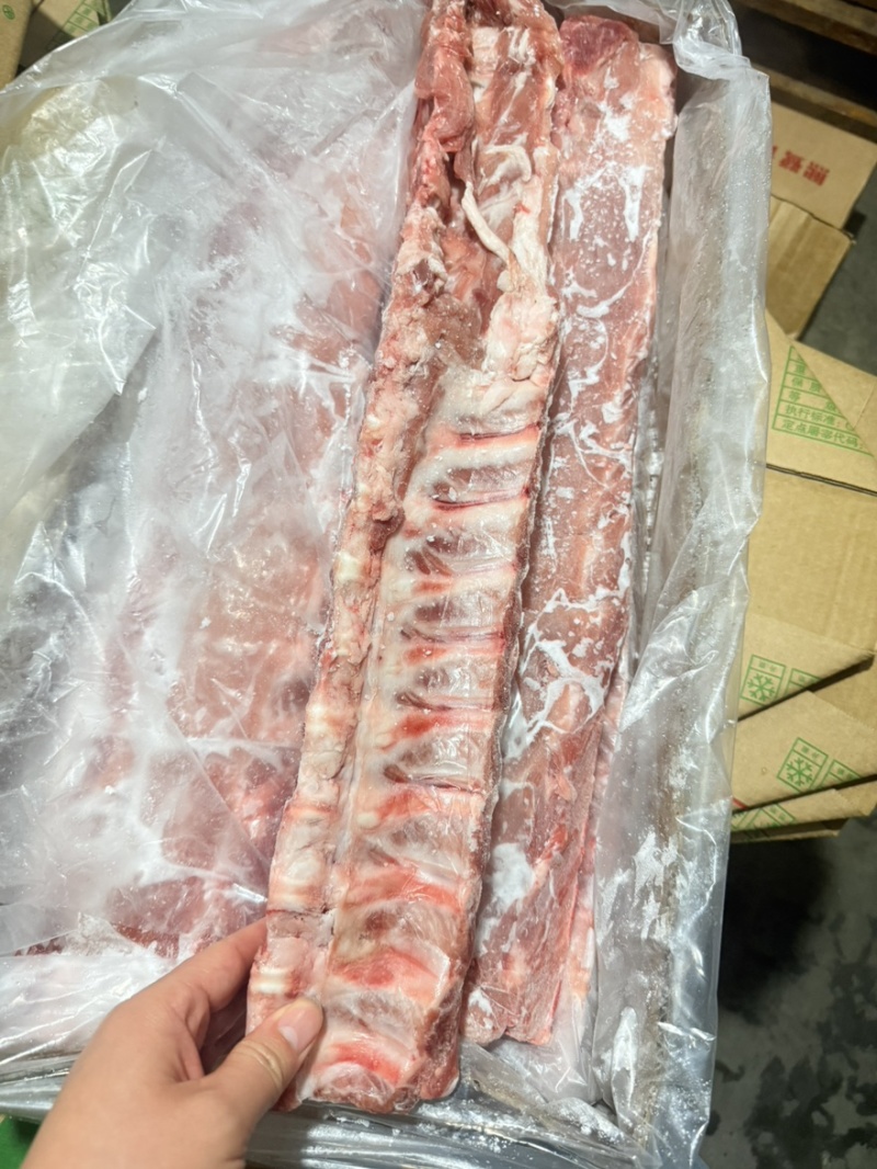 肥猪单边龙骨