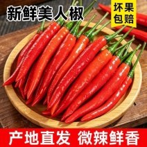 精品洪金塔今日报价，适合店商各大市场批发有售质量有保障