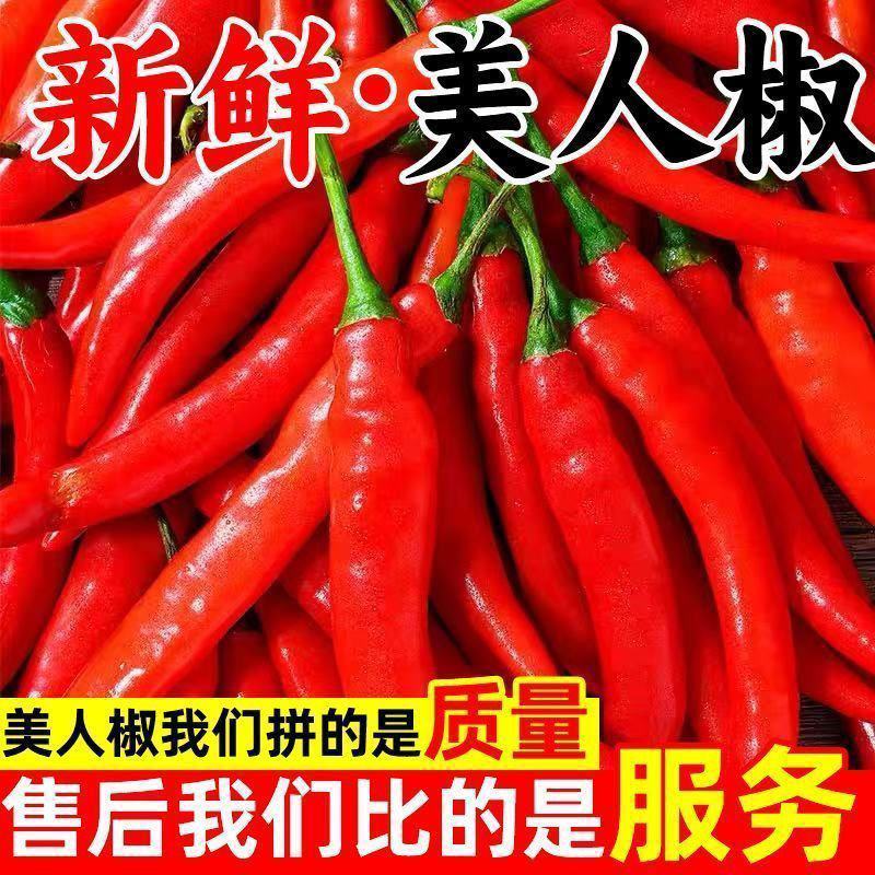 精品好货洪金塔美人椒，质量好，品质优，有需要的朋友请联系