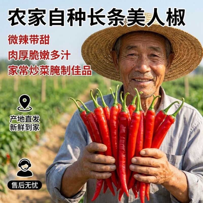 精品好货洪金塔美人椒，质量好，品质优，有需要的朋友请联系