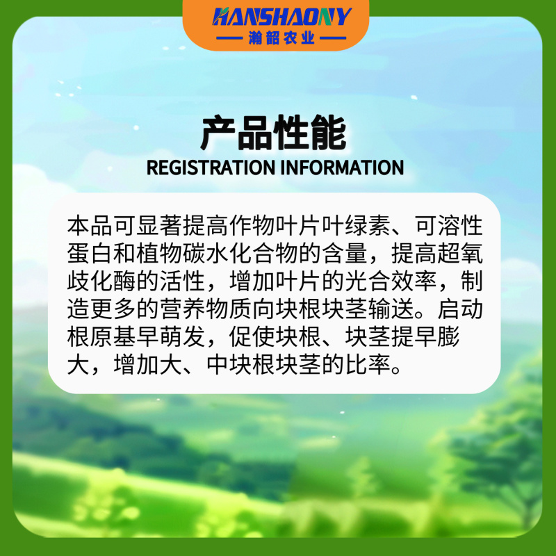 60%氯化胆碱红薯地下根茎膨大提质增产农用花生土豆作物