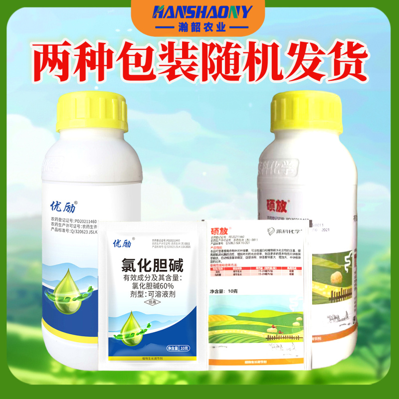 60%氯化胆碱红薯地下根茎膨大提质增产农用花生土豆作物