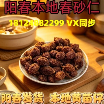 春砂仁正宗阳春特产黄苗仔干果