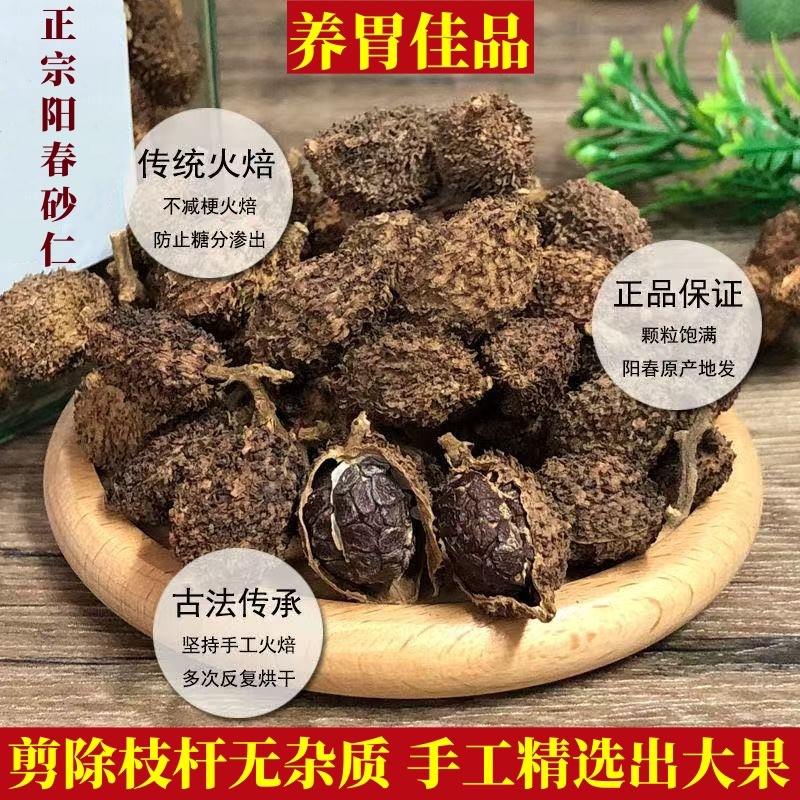春砂仁正宗阳春特产黄苗仔干果