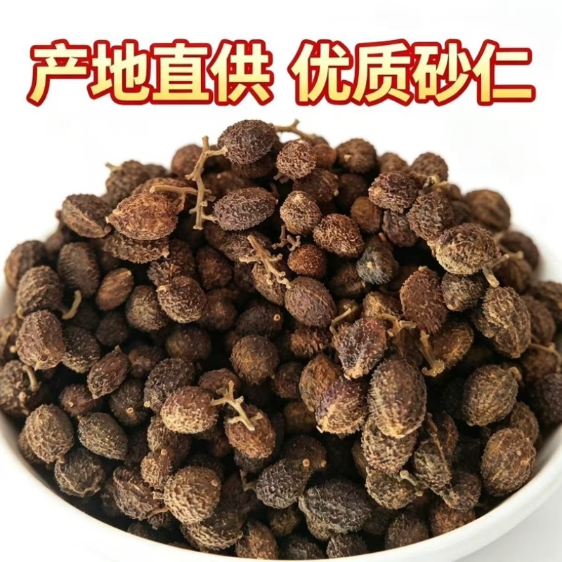春砂仁正宗阳春特产黄苗仔干果