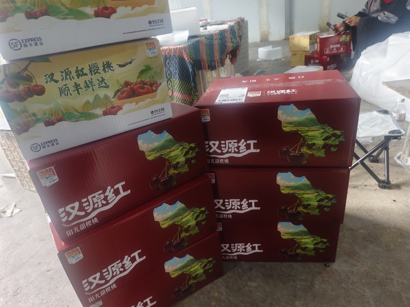 精品套袋美早，口感脆甜，硬度好，一件也是批发价。