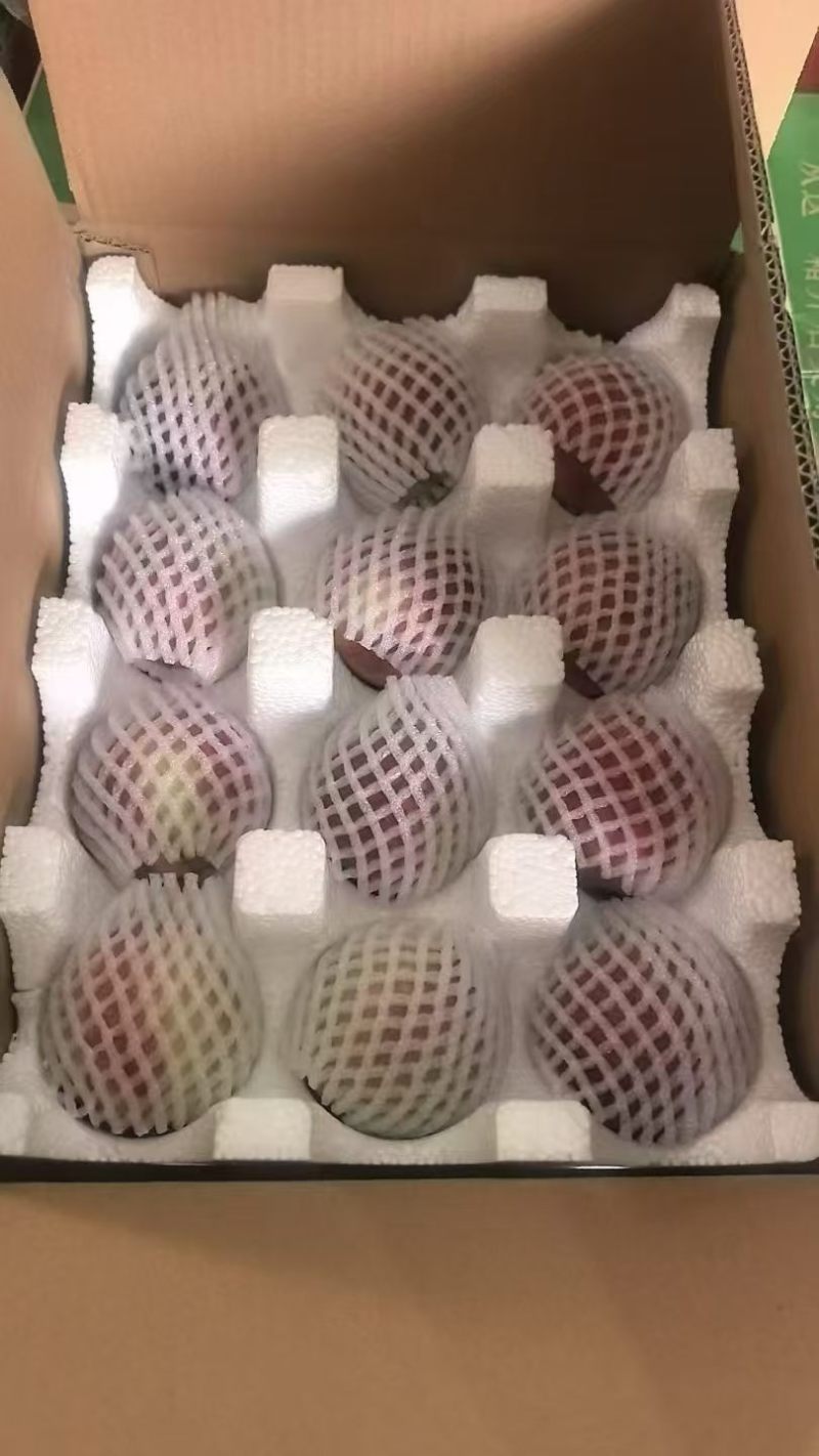 水蜜桃【对接电商】脆甜爽口产地直发，对接全平台，价格电聊