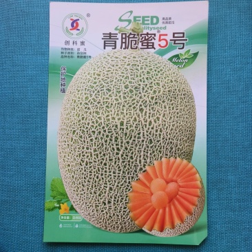 青脆蜜5号哈蜜瓜品种单瓜5斤左右中粗细
