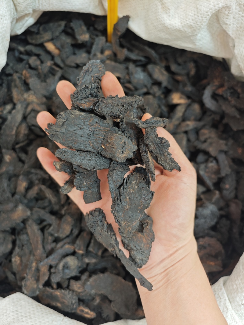 野生内蒙古阿拉善肉苁蓉切片油性软质含量够可泡茶泡酒无硫熏