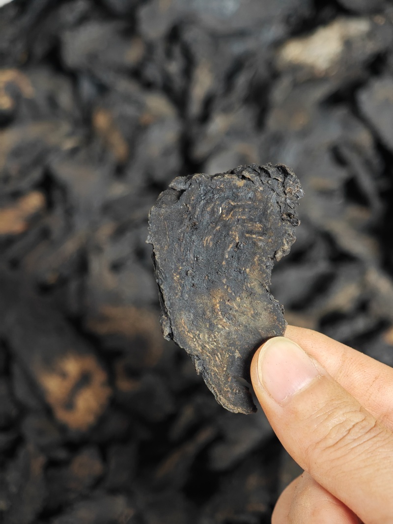 野生内蒙古阿拉善肉苁蓉切片油性软质含量够可泡茶泡酒无硫熏