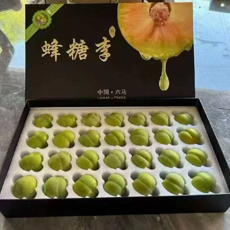 贵州六马蜂糖李