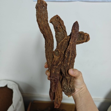 锁阳内蒙精选金锁阳整支切片泡茶泡酒滋补养生阳气肾气足包邮