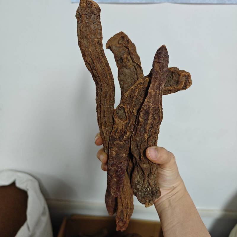 锁阳内蒙精选金锁阳整支切片泡茶泡酒滋补养生阳气肾气足包邮