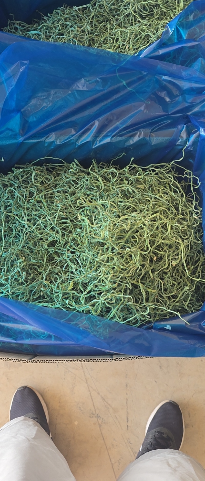 豆角丝架豆丝油豆丝长豆角丝
