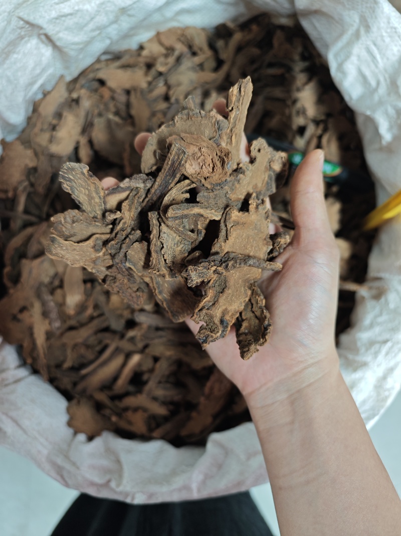 锁阳内蒙精选金锁阳整支切片泡茶泡酒滋补养生阳气肾气足包邮