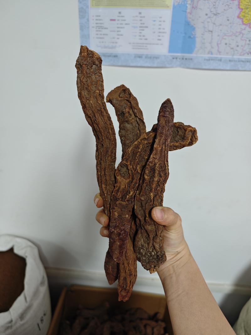 锁阳内蒙精选金锁阳整支切片泡茶泡酒滋补养生阳气肾气足包邮