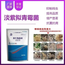 淡紫拟青霉根线虫的克星一亩地一袋冲施洒施
