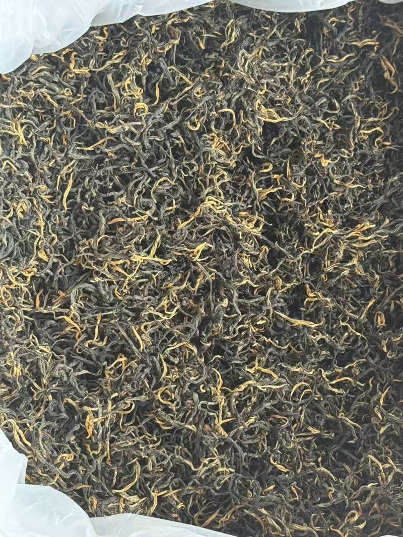 春茶礼盒装