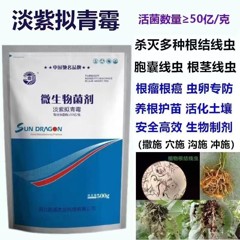 淡紫拟青霉根线虫的克星一亩地一袋冲施洒施