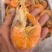 香虾甜虾2030规格电商团购私域！！！！！！！！！！！！