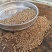 2026年新小麦对接面粉厂加工厂食品厂欢迎老板联系