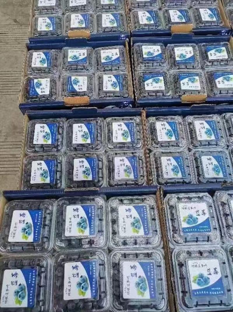 推荐【优质蓝莓】产地批发一手货源保质保量全国发货