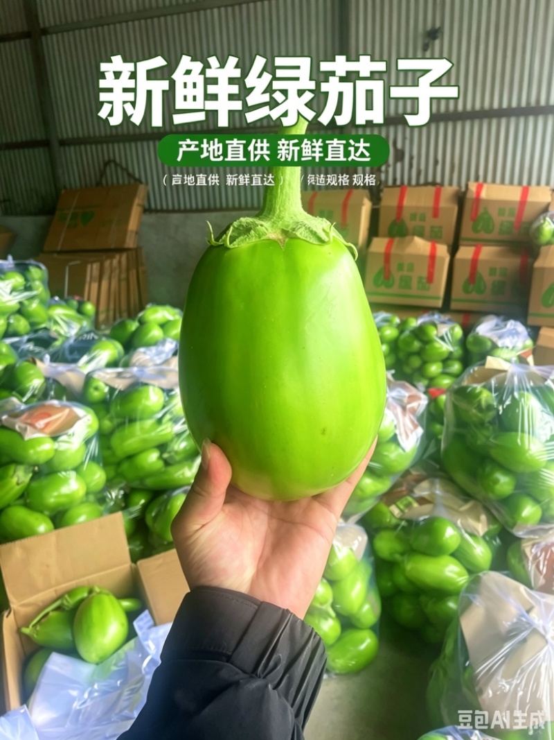 【精品青茄】河南安阳产地直发质量保证规格齐全一手货源