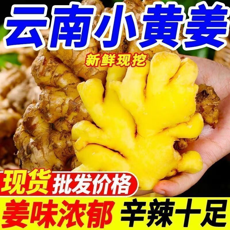 【农姜自卖】云南小黄姜抢购黄姜云南月子正宗大块新鲜批发