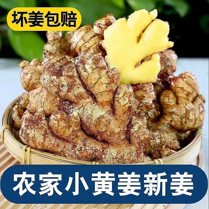 【农姜自卖】云南小黄姜抢购黄姜云南月子正宗大块新鲜批发
