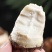 山东牛奶芋头5斤装新鲜农家芋头软糯香甜蔬菜批发