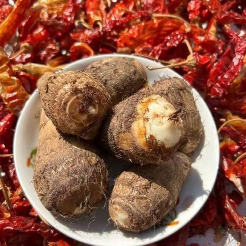 山东牛奶芋头5斤装新鲜农家芋头软糯香甜蔬菜批发