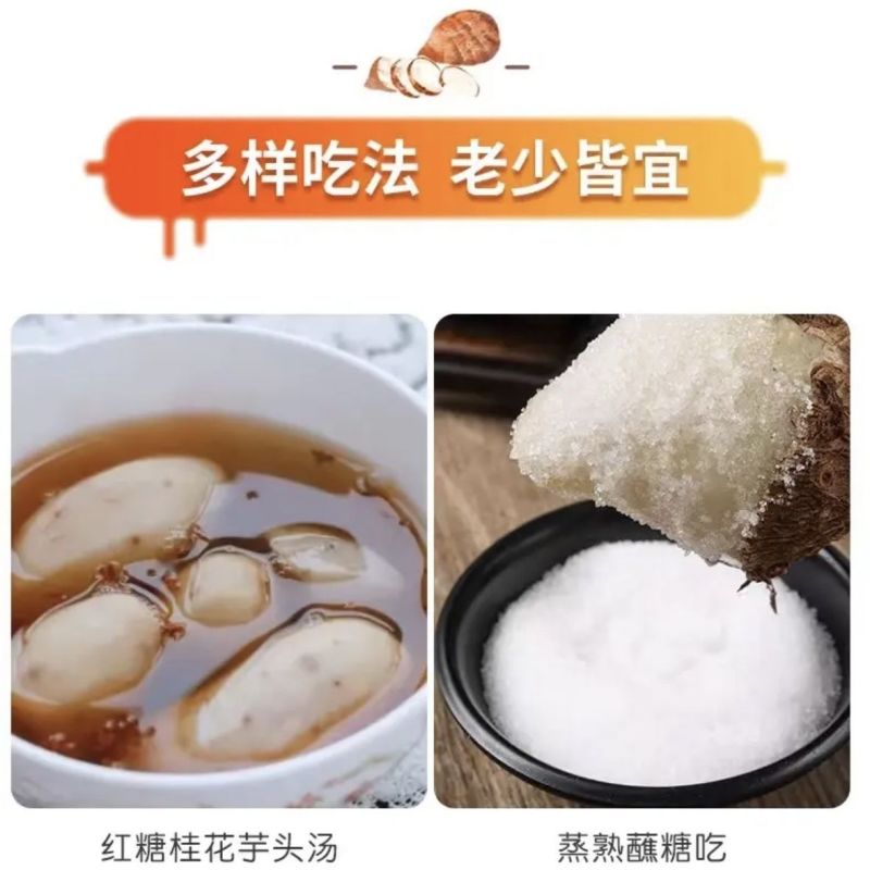 山东牛奶芋头5斤装新鲜农家芋头软糯香甜蔬菜批发