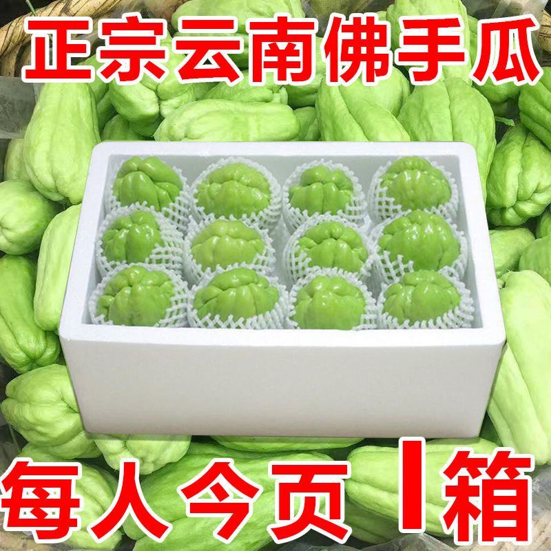 云南佛手瓜新鲜洋瓜丰收现摘窝瓜当季农家丝瓜寿瓜自种蔬菜批